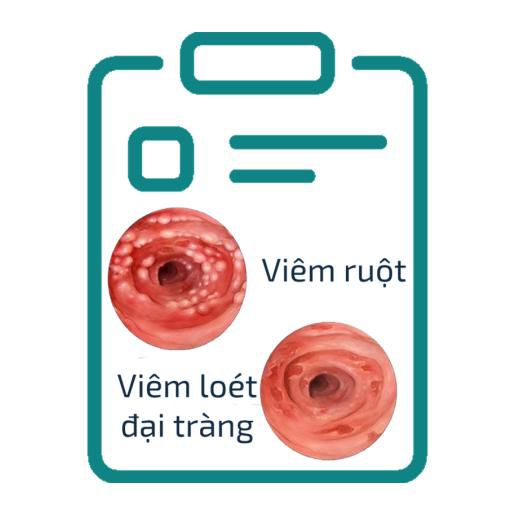 viem-ruot.jpg